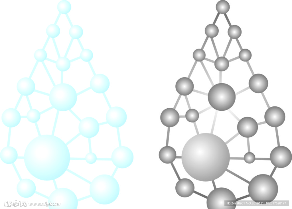 水分子