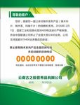 辣木绿色海报