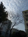 小区风景