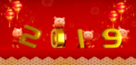 2019效果