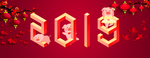 2019效果