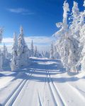 雪
