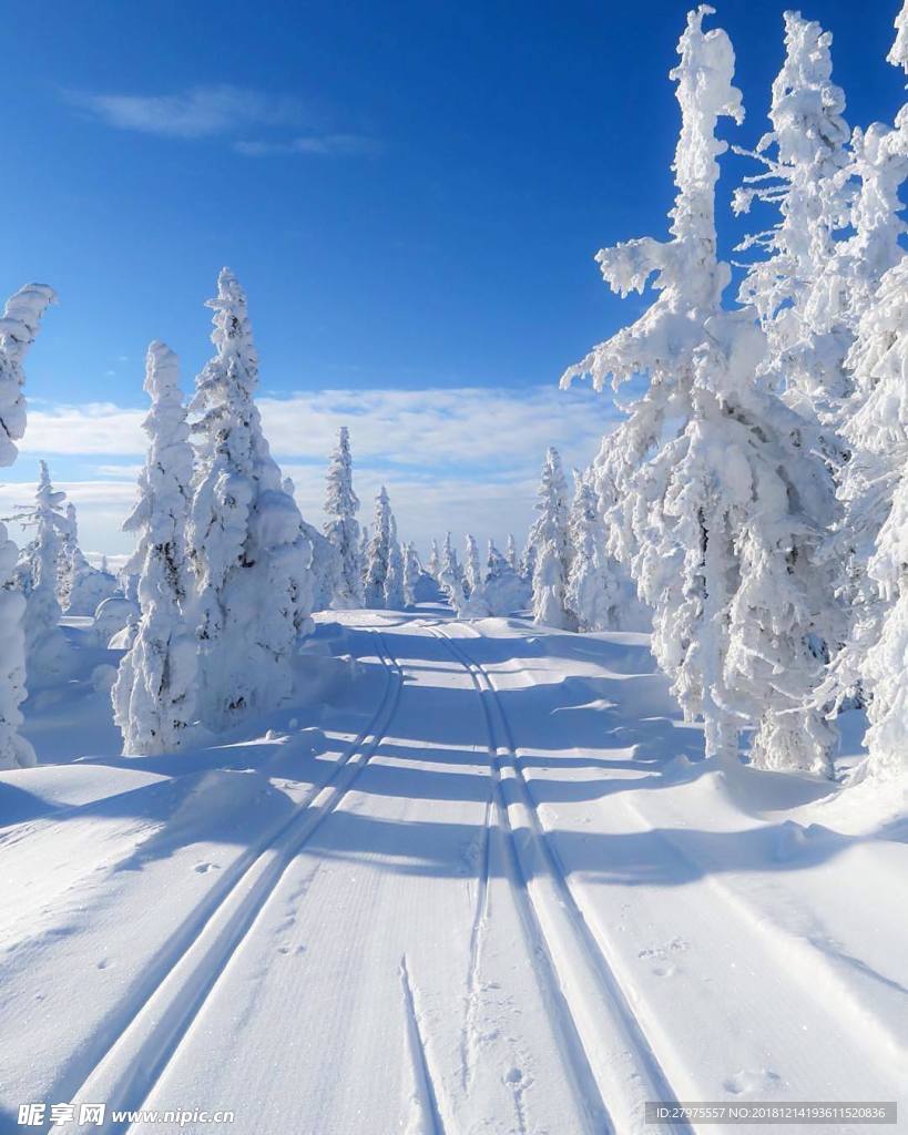 雪