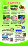 食品安全知识