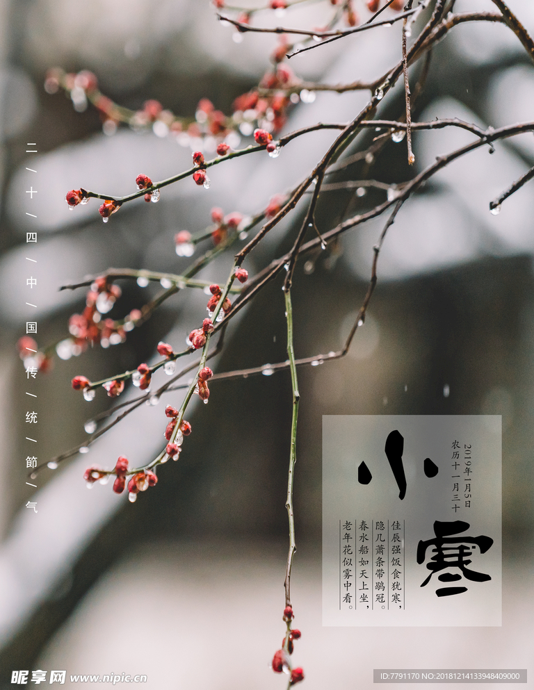 小寒
