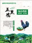文化墙  五黑鸡绿壳鸡蛋