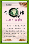 冬病夏治