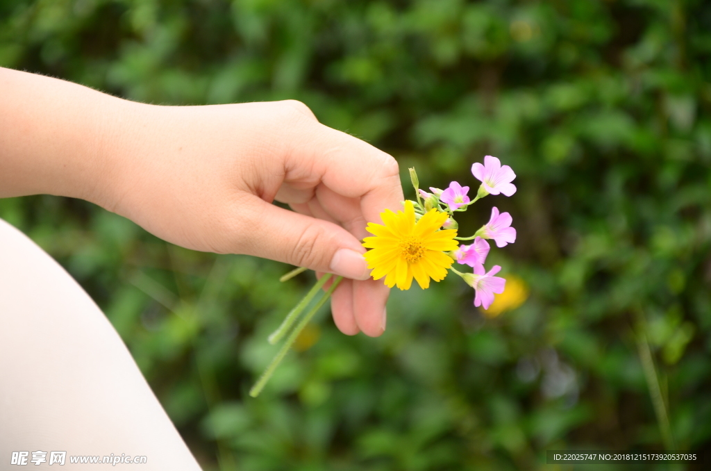 手拿花朵