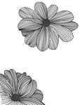 矢量黑白花朵