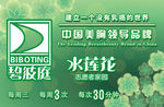 建立一个没有乳癌的世界