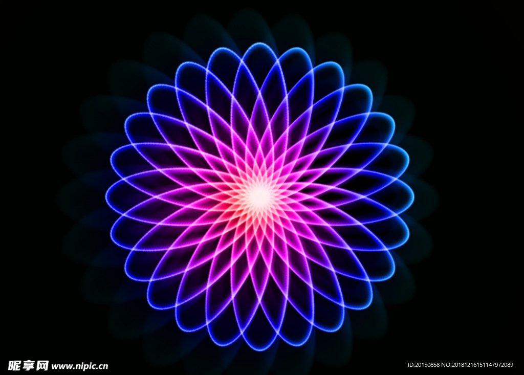 动画花瓣