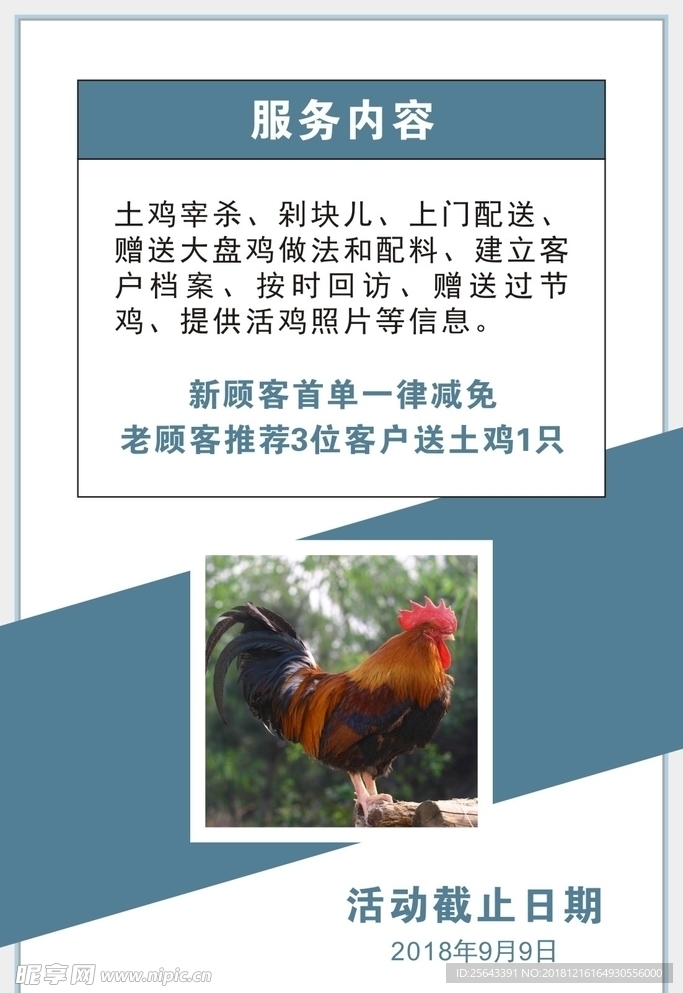 张氏农家散养土鸡