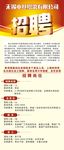中丝织染公司招聘