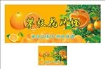 攀枝花 脐橙 水果 广告 宣传