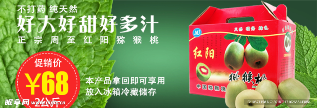 红阳猕猴桃