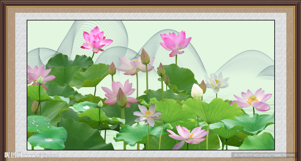 荷花国画