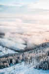 雪景