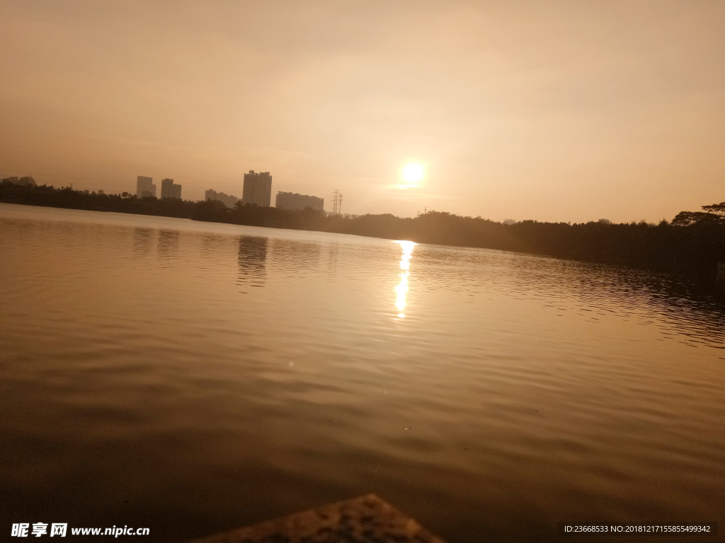 海珠湖 海珠景 城市 夜景