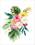 插画花卉
