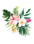 插画花卉