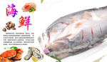 鱼海报