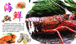 龙虾