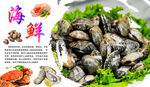 海鲜海报