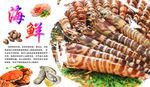 虾海报
