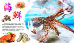 八爪鱼海报