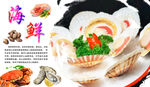 扇贝海报