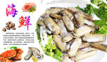 海鲜海报