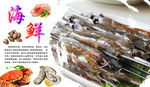 海鲜海报