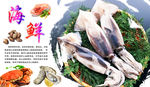 墨鱼海报