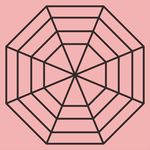 蜘蛛网 游乐场 儿童 淘气堡