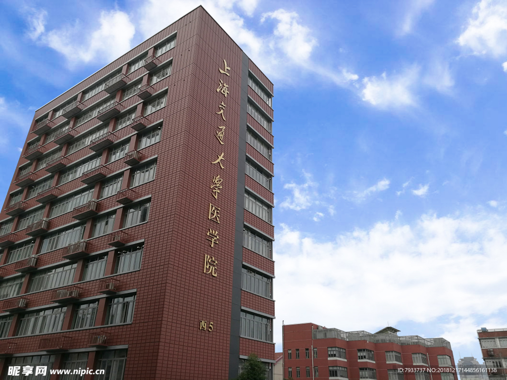 上海交通大学医学院