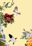 牡丹花