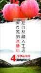 阿克苏苹果