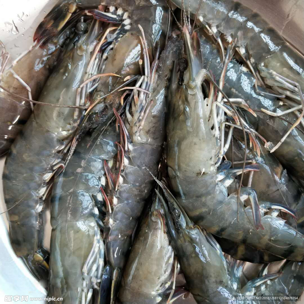 海鲜海产品