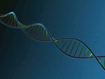 dna 螺旋