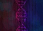 dna 螺旋