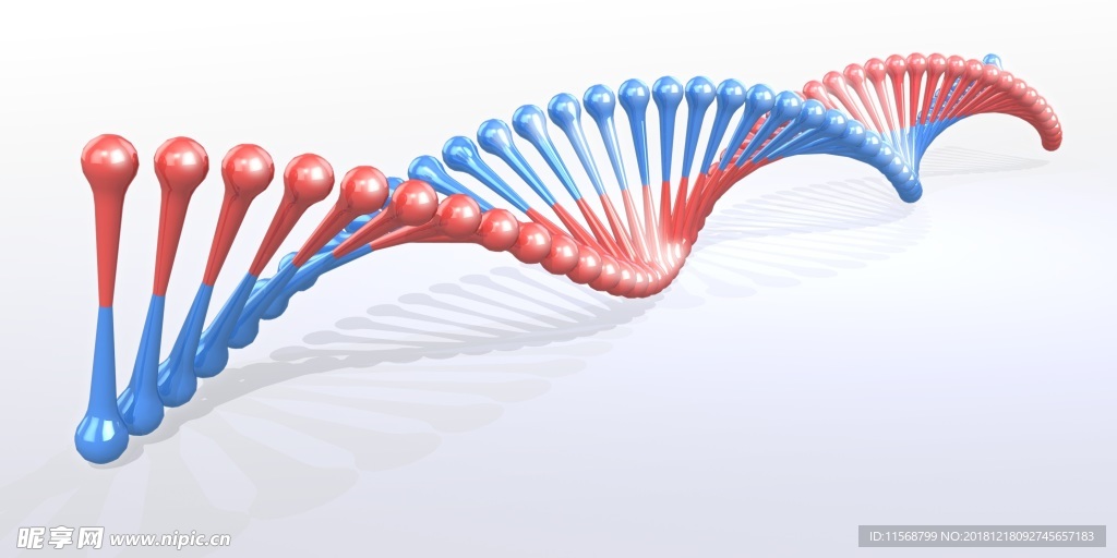 dna 螺旋