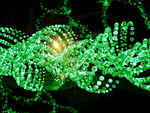 dna 螺旋