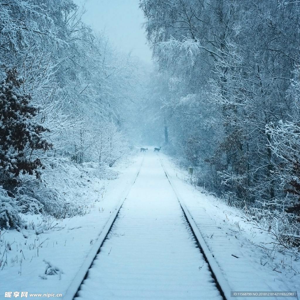 雪景