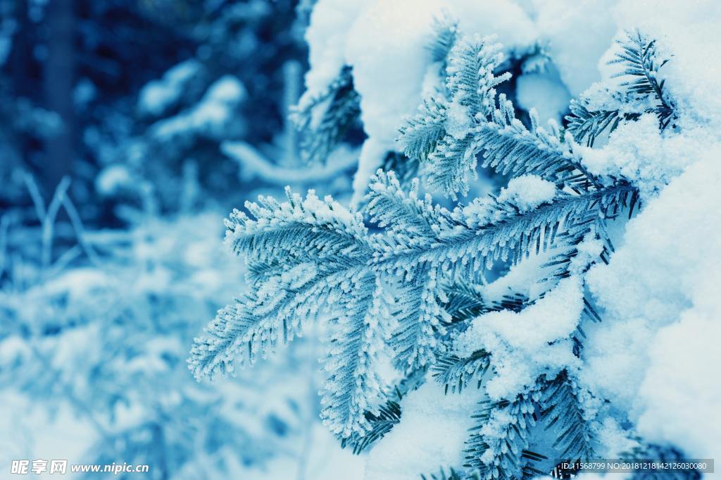 雪景