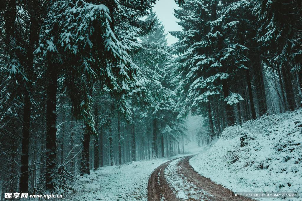 雪景