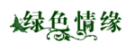 创意字体图片