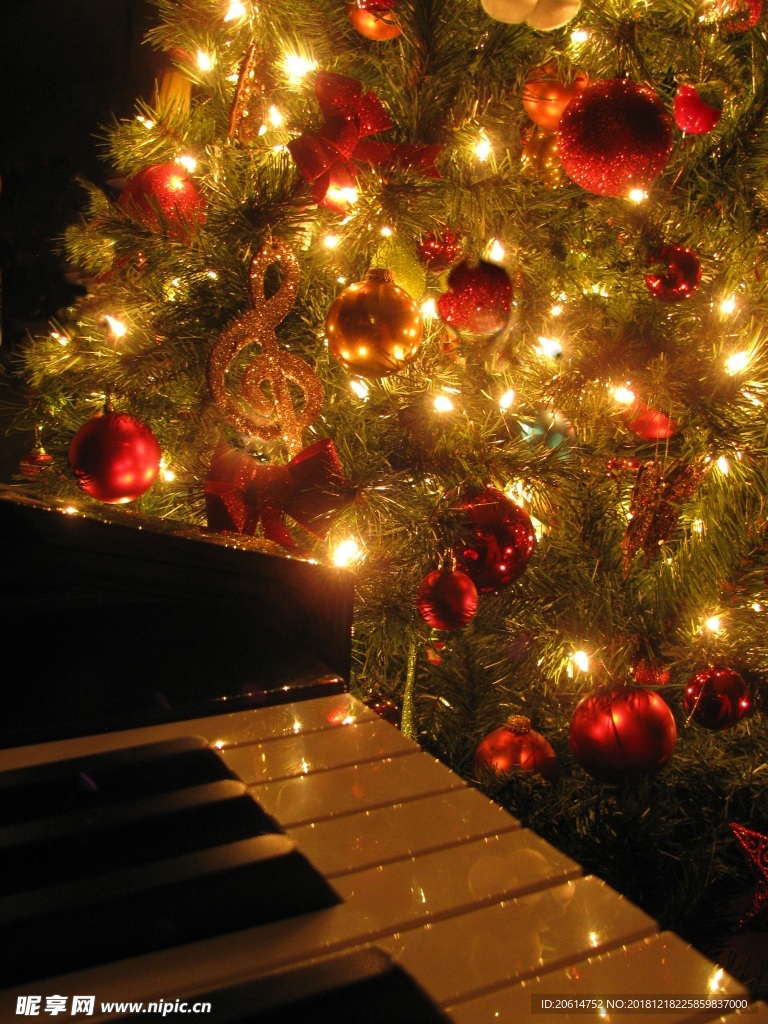 发光的圣诞节树