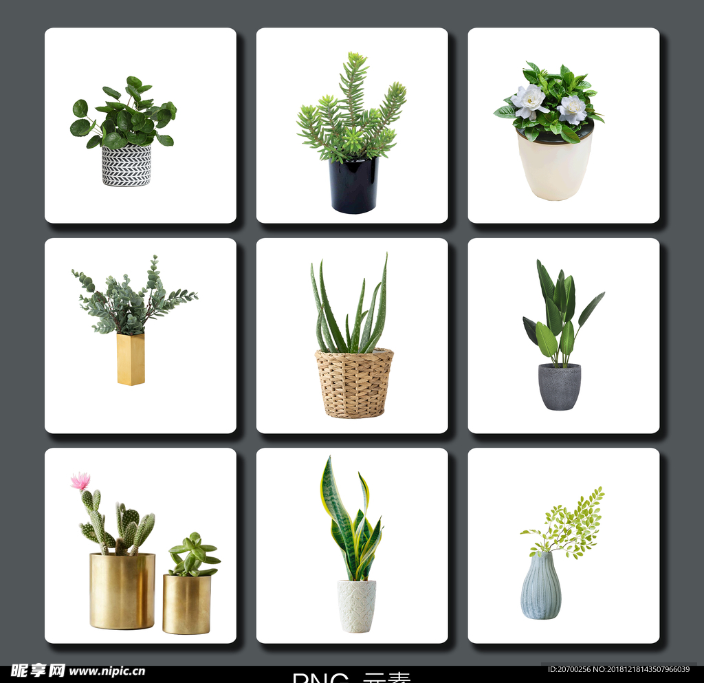 绿色植物素材