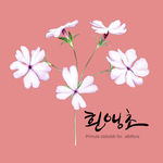 手绘花卉素材