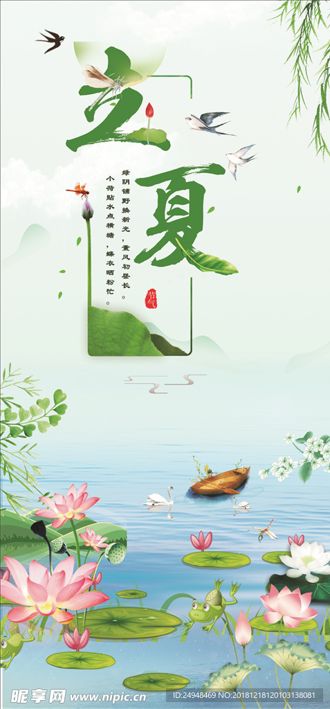 立夏荷叶
